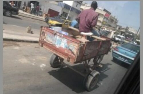Article : Les transporteurs de boroms sarete à Dakar
