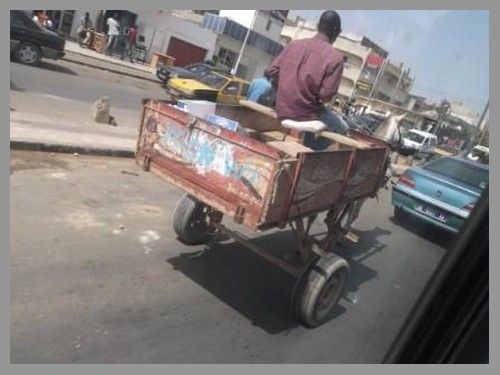 Article : Les transporteurs de boroms sarete à Dakar